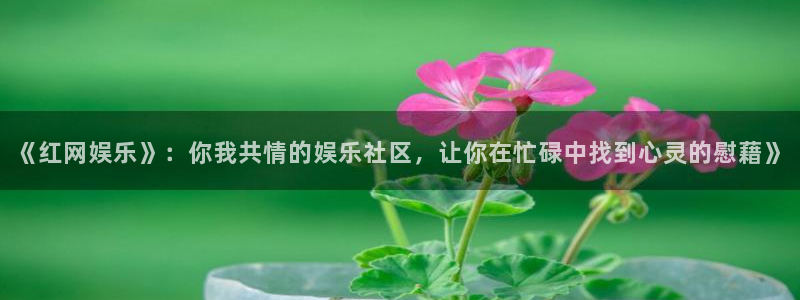 mg不朽情缘官网