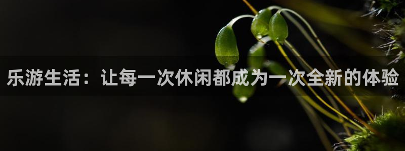 mg不朽情缘讲解