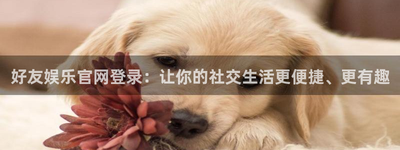 mg不朽情缘5滴血大奖：好友娱乐官网登录：让你的社交生活更便捷、更有趣