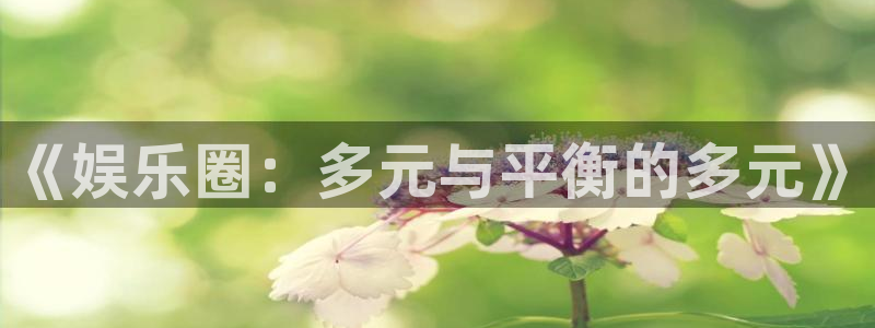 mg不朽情缘手机游戏：《娱乐圈：多元与平衡的多元》