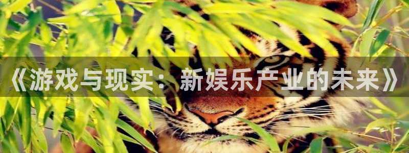 mg不朽情缘炸：《游戏与现实：新娱乐产业的未来》