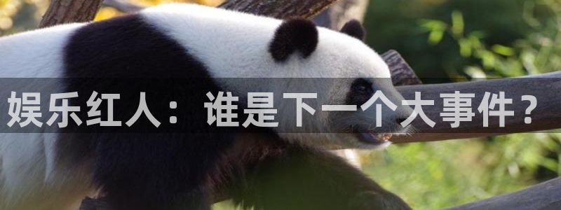 mg不朽情缘怎么玩：娱乐红人：谁是下一个大事件？