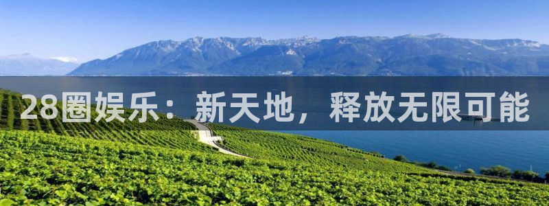 mg游戏不朽情缘在线：28圈娱乐：新天地，释放无限可能