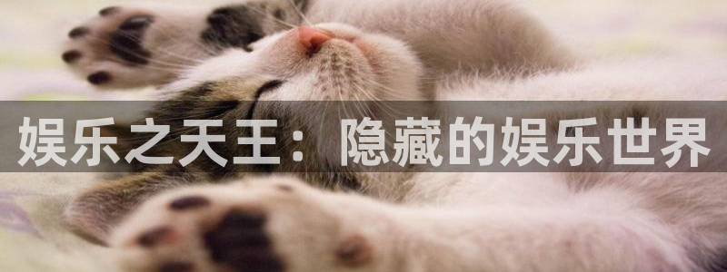 mg不朽情缘玩法：娱乐之天王：隐藏的娱乐世界