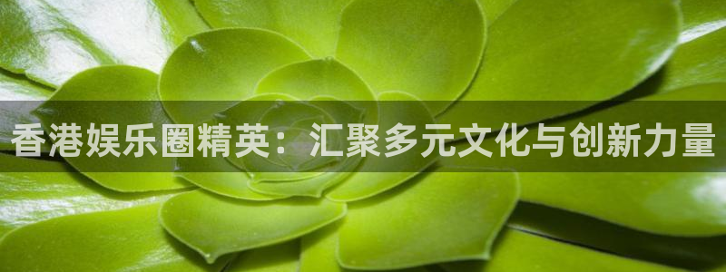 mg不朽情缘官网：香港娱乐圈精英：汇聚多元文化与创新力量
