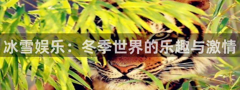 mg电子不朽情缘：冰雪娱乐：冬季世界的乐趣与激情
