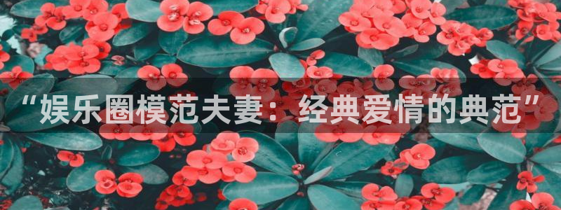 不朽情缘30块四滴血：“娱乐圈模范夫妻：经典爱情的典范”