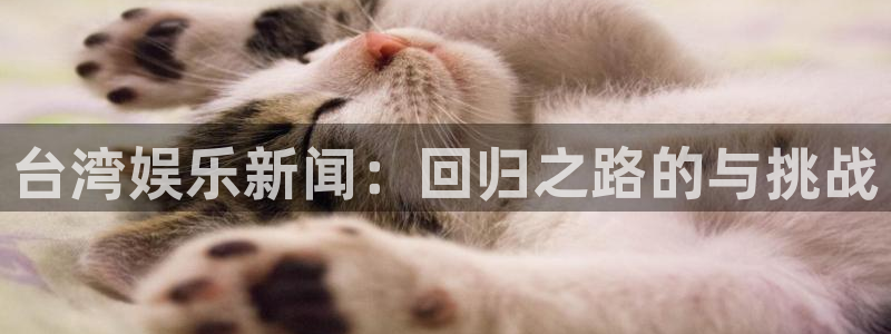 mg不朽情缘元爆万：台湾娱乐新闻：回归之路的与挑战