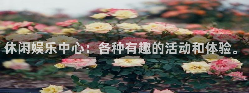 mg不朽情缘官网：休闲娱乐中心：各种有趣的活动和体验。